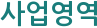 사업영역